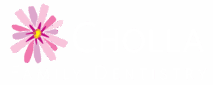 Visit Cholla Family Dentistry